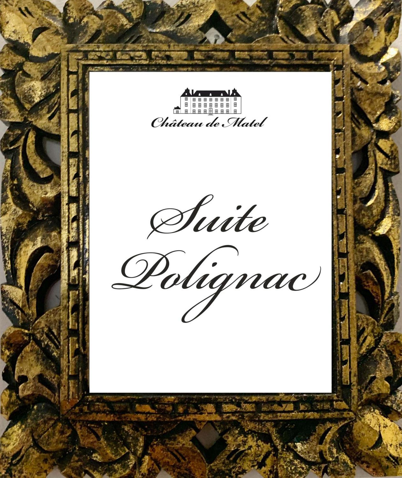 Chateau De Matel Roanne Esterno foto